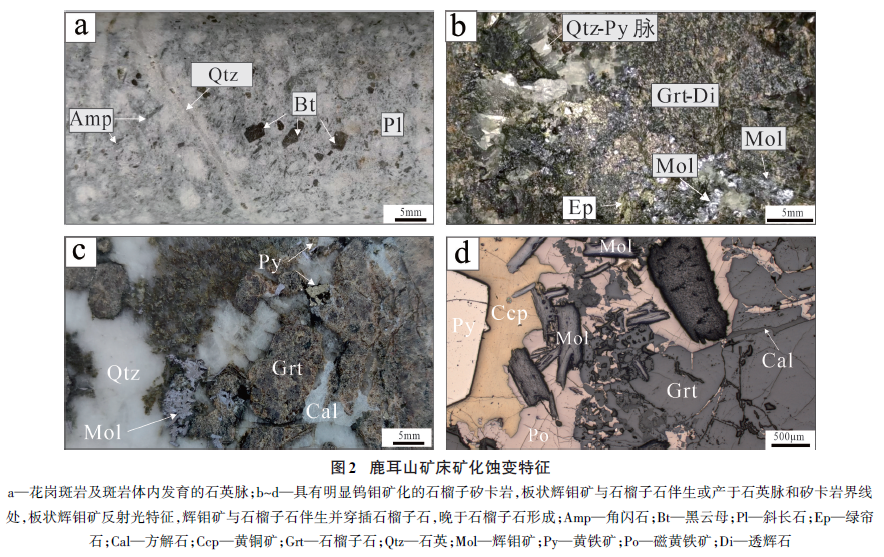 1769590567445556.png image.png