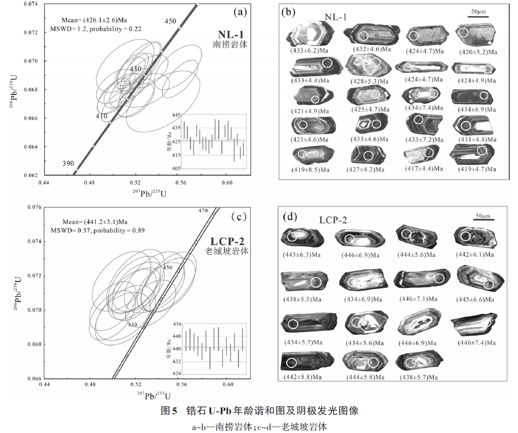 1775202119835151.png image.png