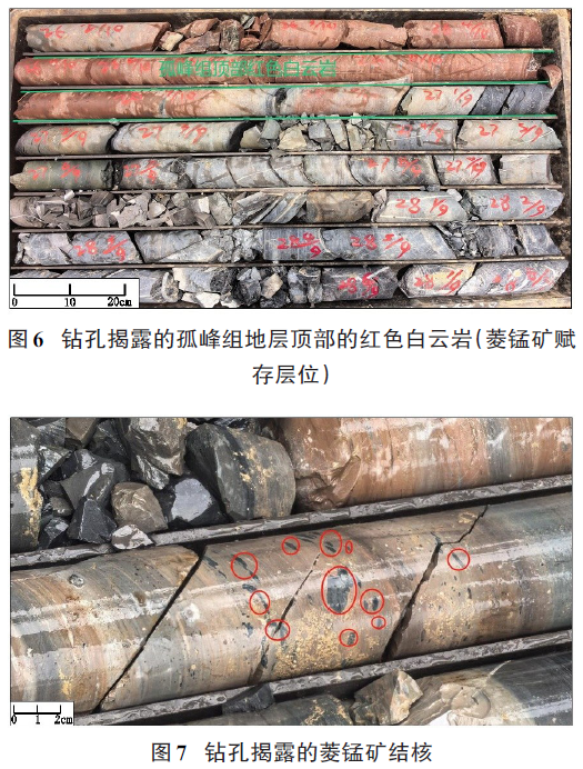 钻孔取样的锰矿样本